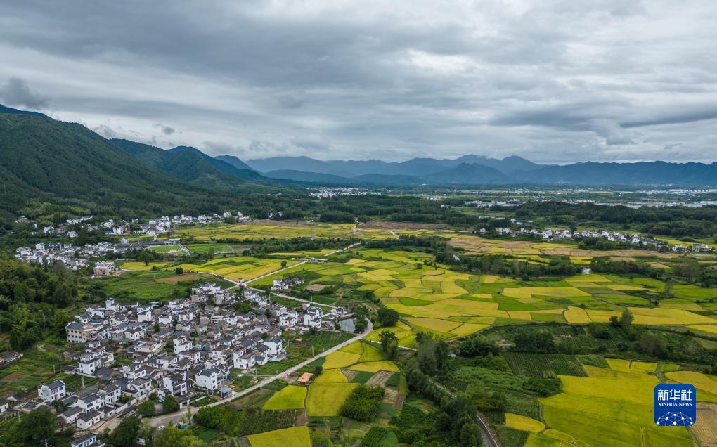 gpk电子平台